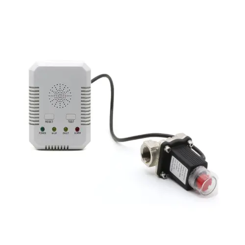 Clapeta si detector gaz